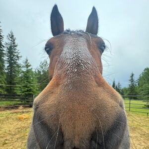 Meet your Posher, Mara